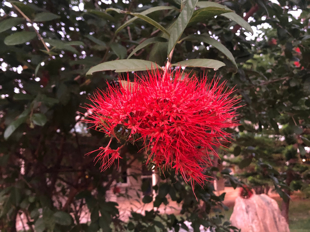 Nayl Safari Kenya-瓦塔木必去景点