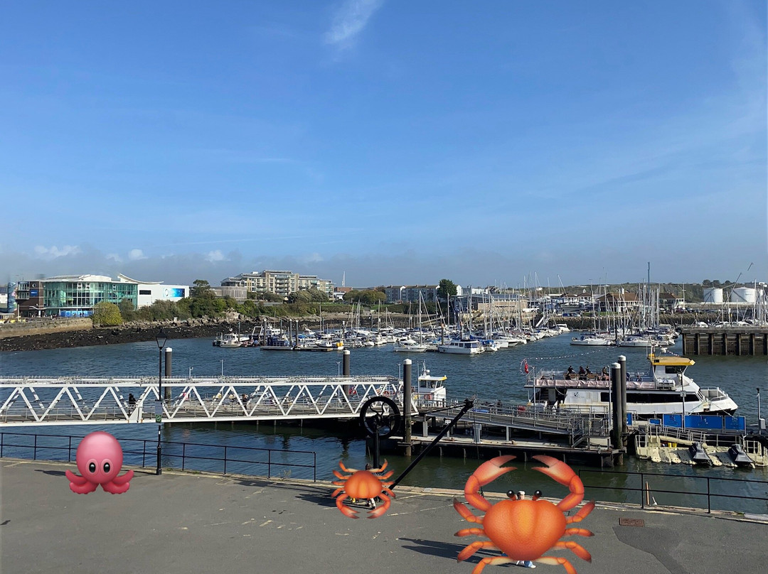 Royal William Yard-普利茅斯必去景点