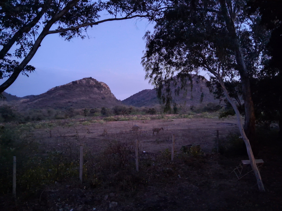 Tiger Moon Resort主图