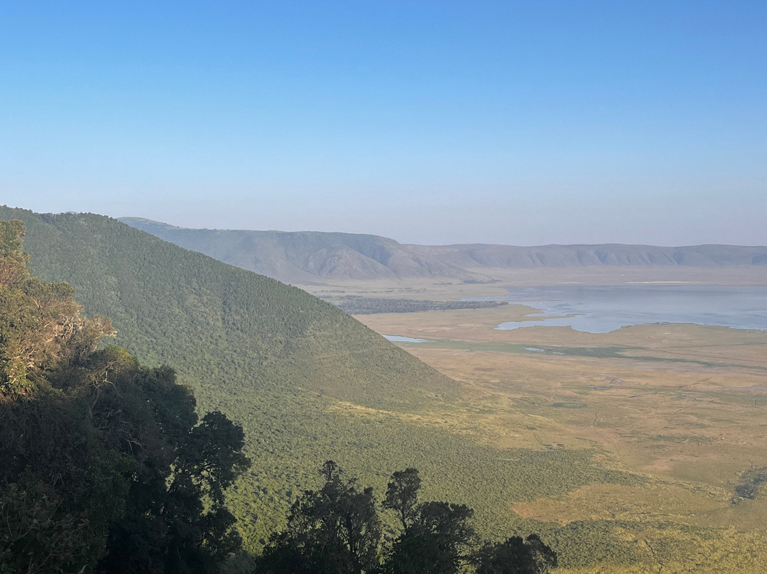 Go-Giraffe Safaris Limited-Dar es Salaam必去景点