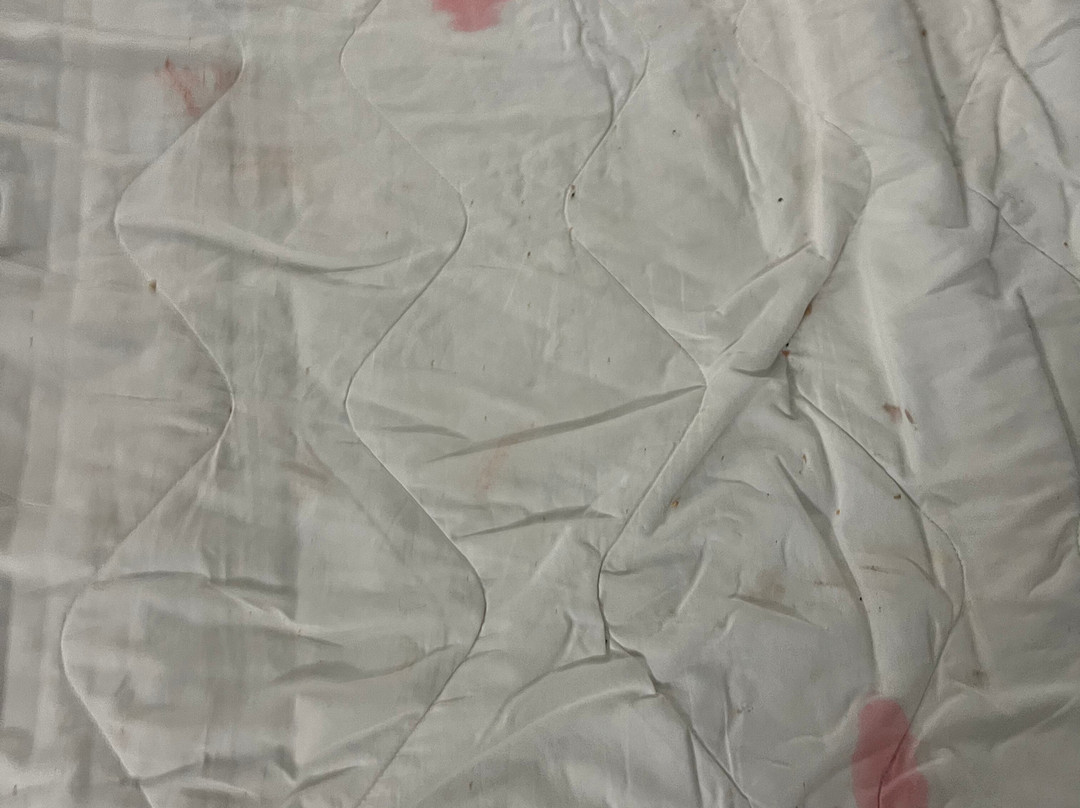 贝斯特韦斯特乡村套房酒店主图