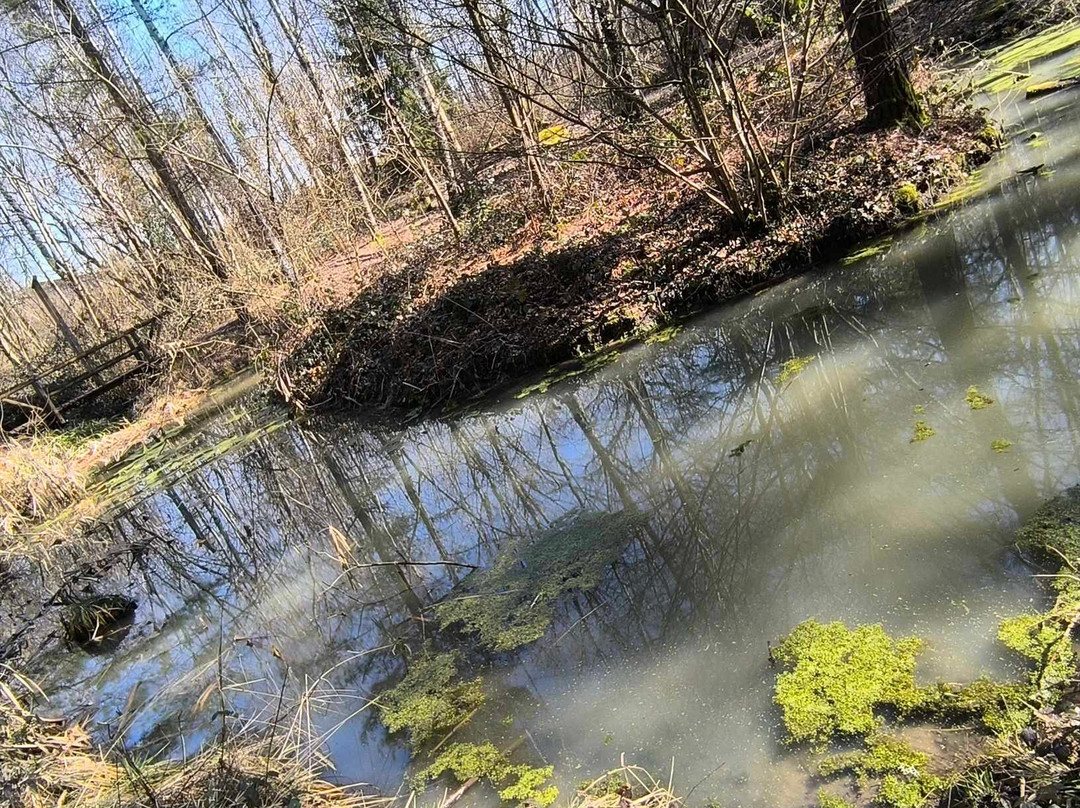 Parcours Santé De Choisy