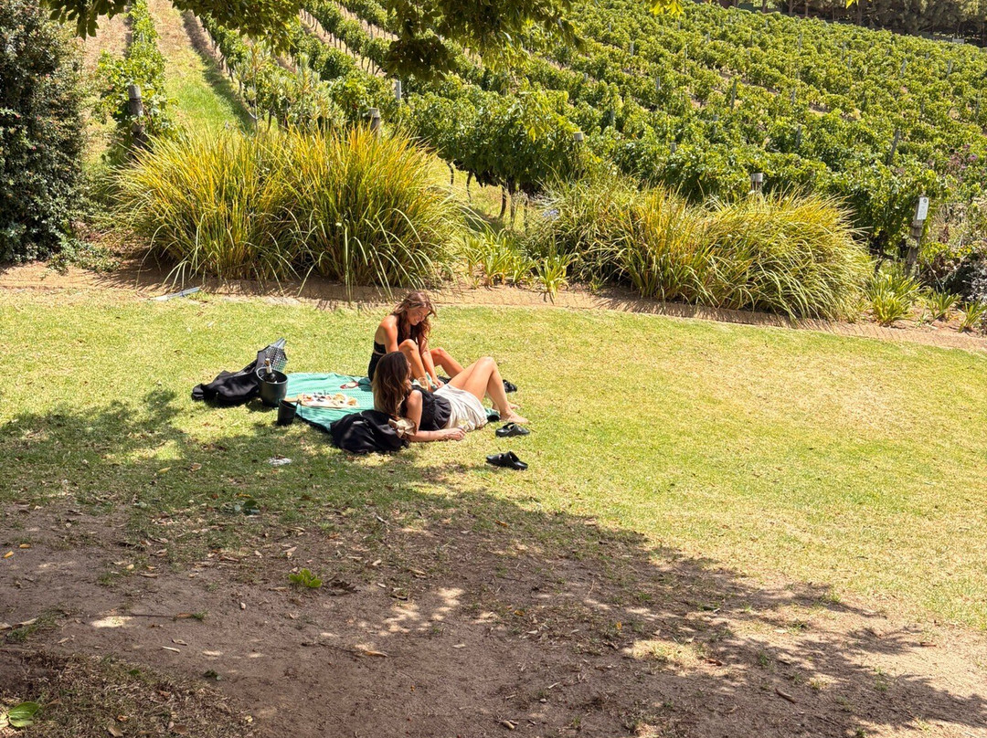 Raw Tours Cape Town-开普敦中心区必去景点