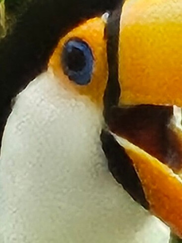 Foz Cataratas Turismo-伊瓜苏必去景点