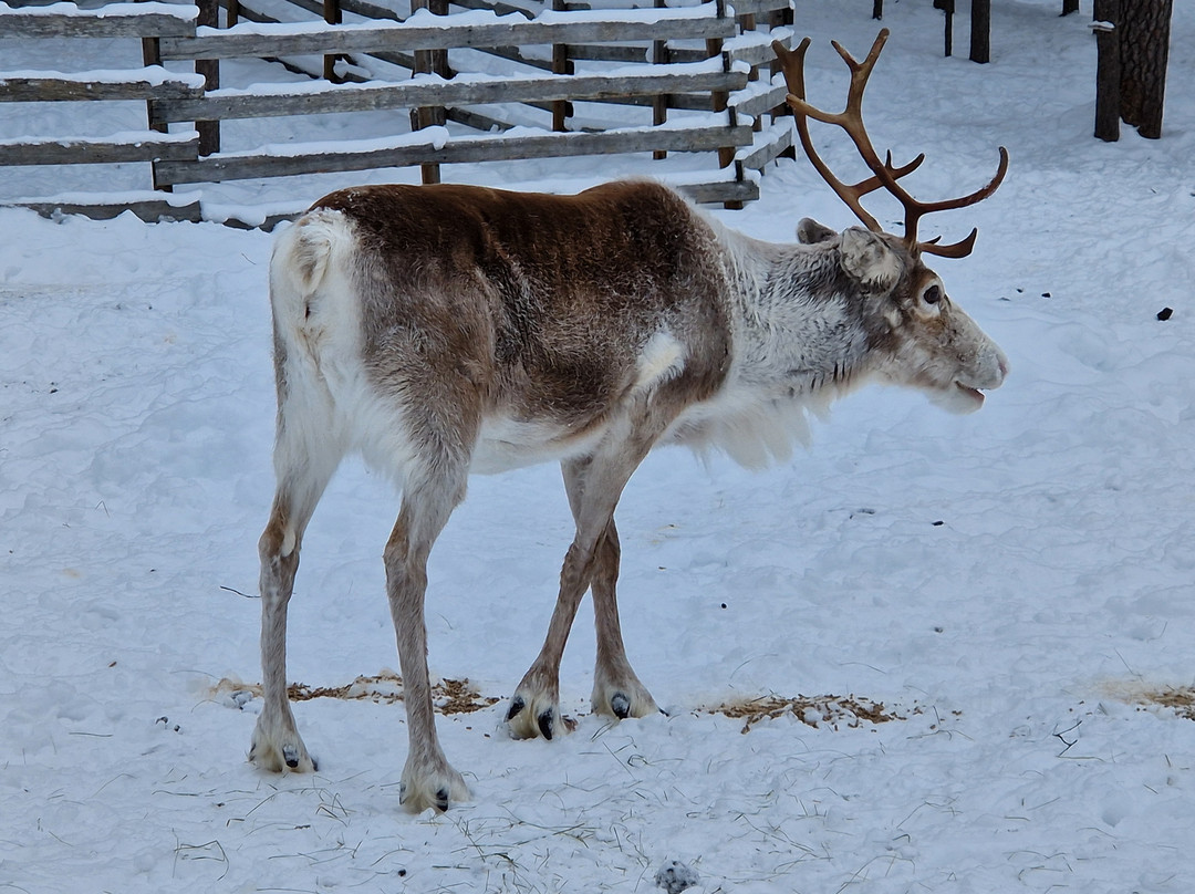 Salla Wilderness Park-Salla必去景点