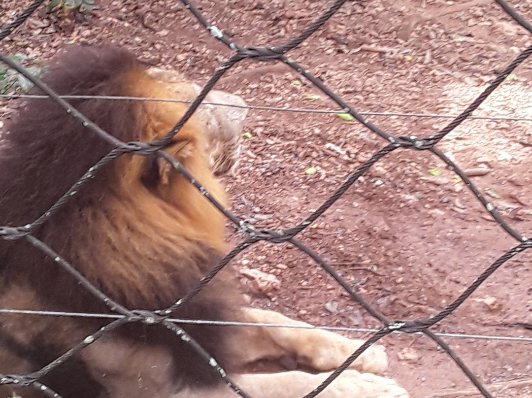 Emperor Valley Zoo-西班牙港必去景点