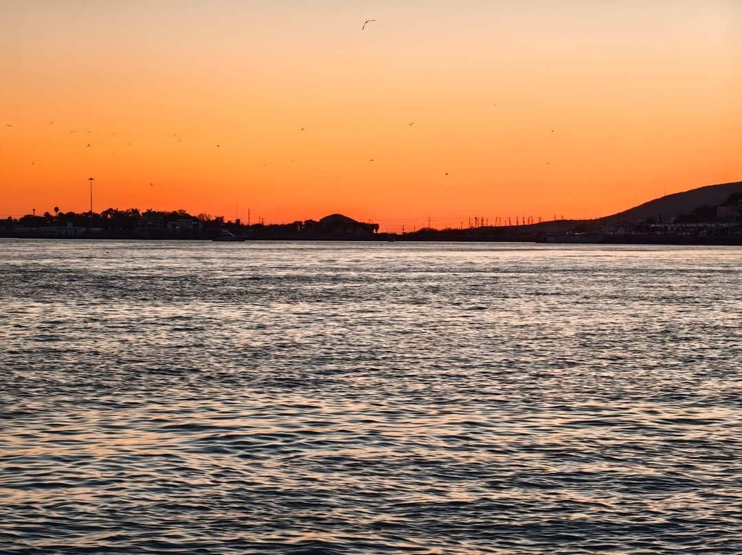 Hotel Santa Anita主图