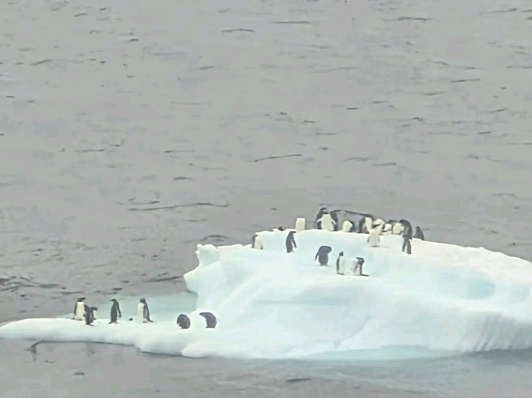 Bahia Paraiso-Antarctic Peninsula必去景点