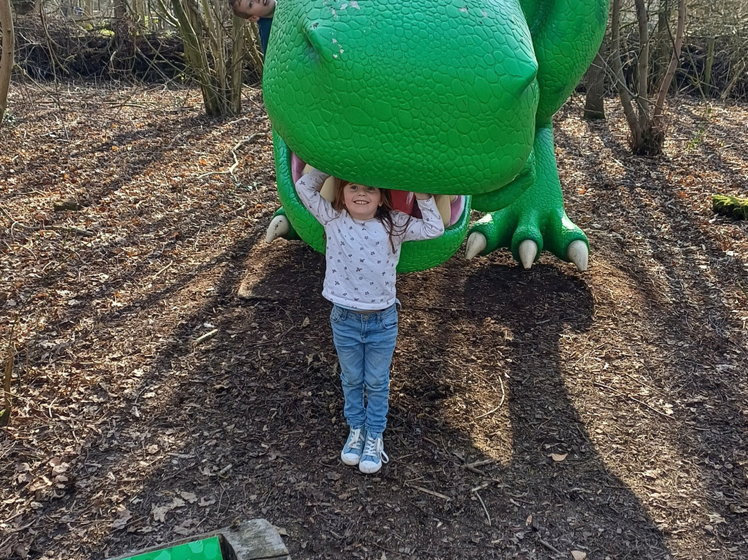 Manor Farm Park & Woodlands景点图片