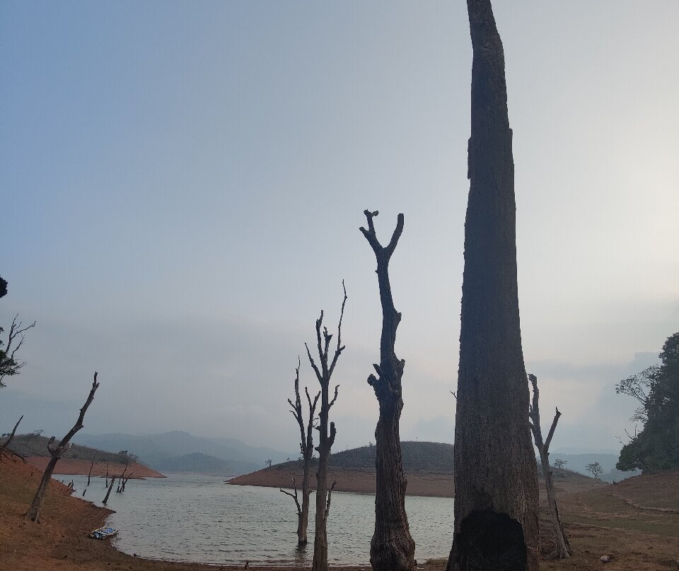 Wayanad Silver Green Holiday Enclaves主图