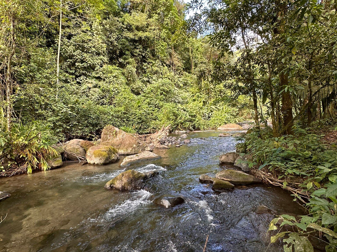 Wellness Park Ecolodge景点图片