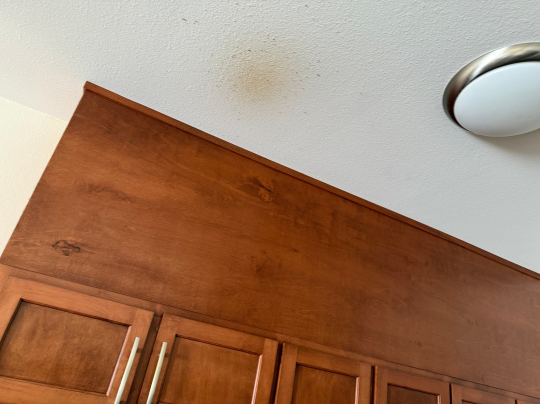 新伊比利亚烛木套房酒店主图