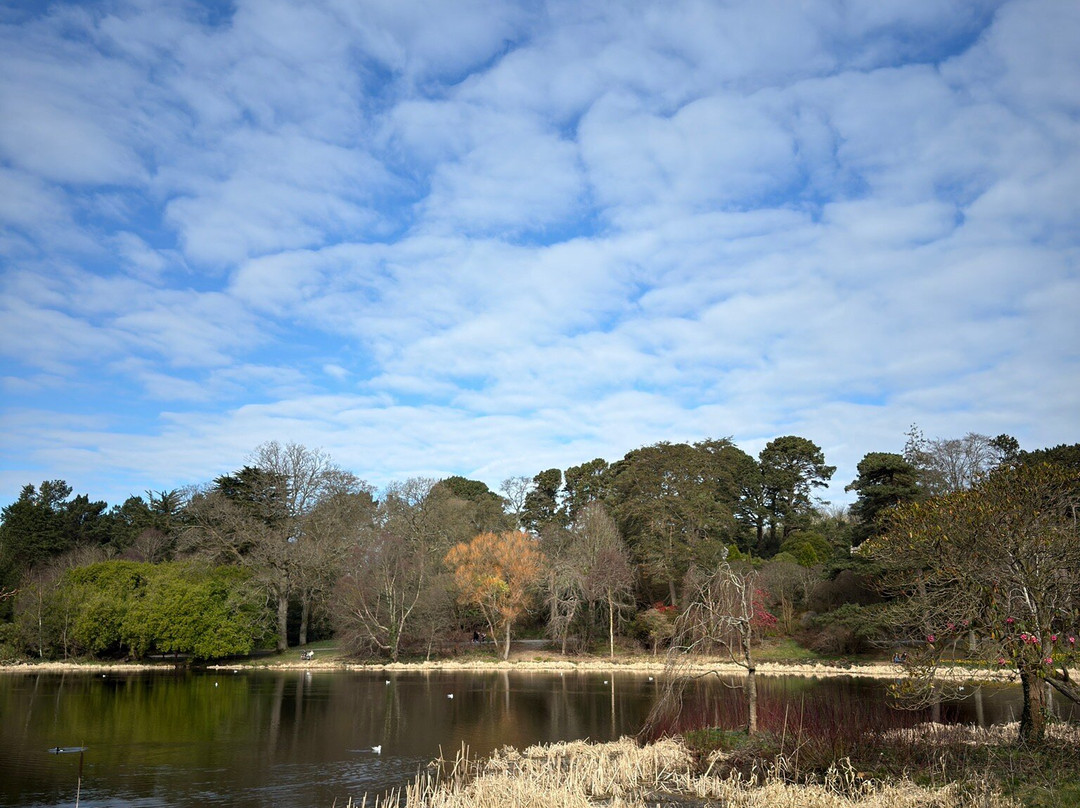 Ards Peninsula景点图片