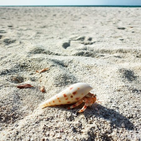 马尔代夫可可尼度假村主图