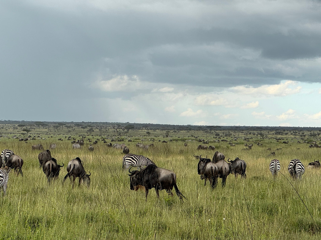 Mawe African Ventures景点图片