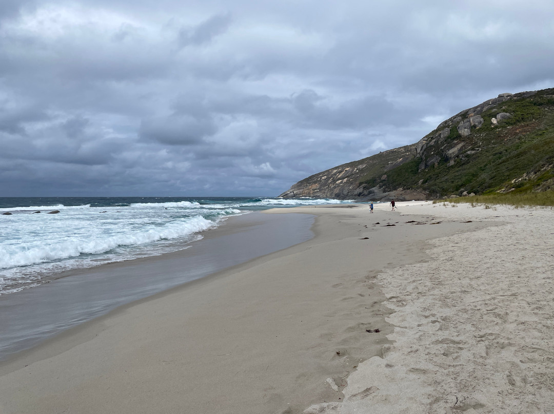 Salmon Holes-奥尔巴尼必去景点