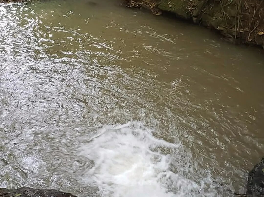 Espaço Garden Margarida-Sao Francisco Xavier必去景点