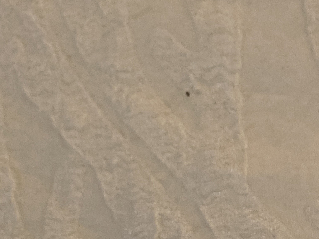 萨拉托加斯普林斯希尔顿花园酒店主图