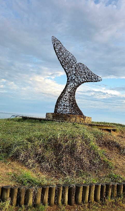Mirador Punta Ballena-Punta Ballena必去景点