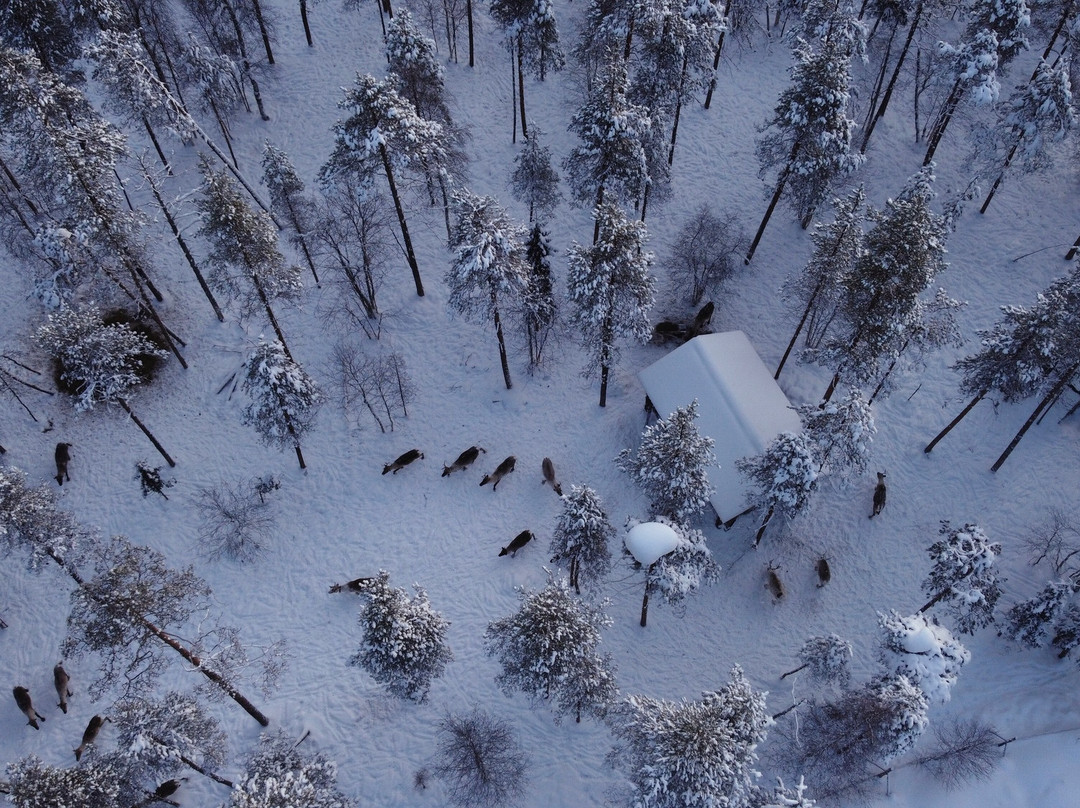 Kentura Reindeer Farm-罗瓦涅米必去景点