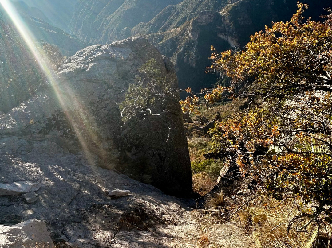 Experience Mex-ECO Tours-Melaque必去景点