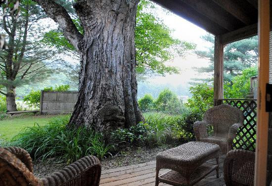 English Hideaway Inn B&B主图