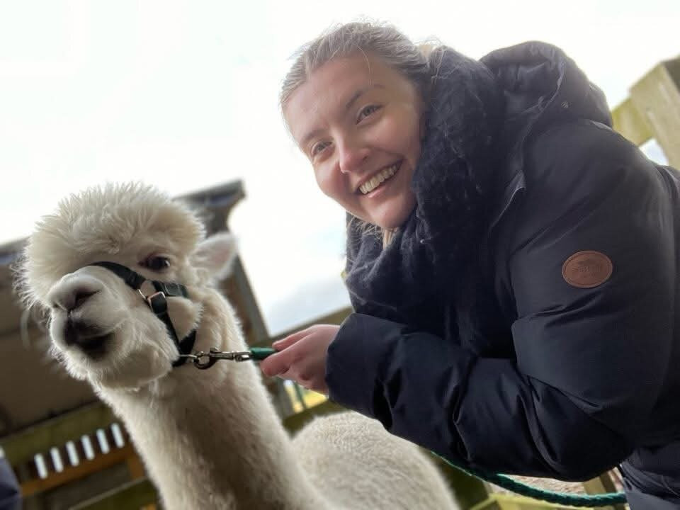Alpaca Days Out-埃尔金必去景点