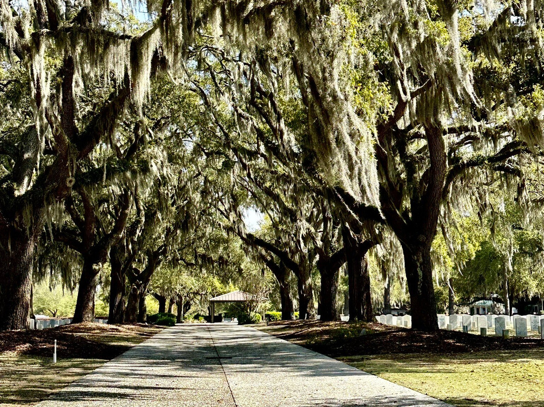 Beaufort National Cemetery景点图片