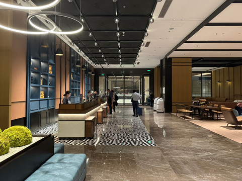 成都天府新区福朋喜来登酒店主图