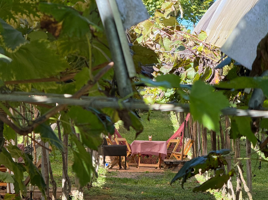 Vinícola Videiras Carraro-本图贡萨尔维斯必去景点