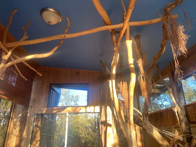 斯凯树屋酒店主图