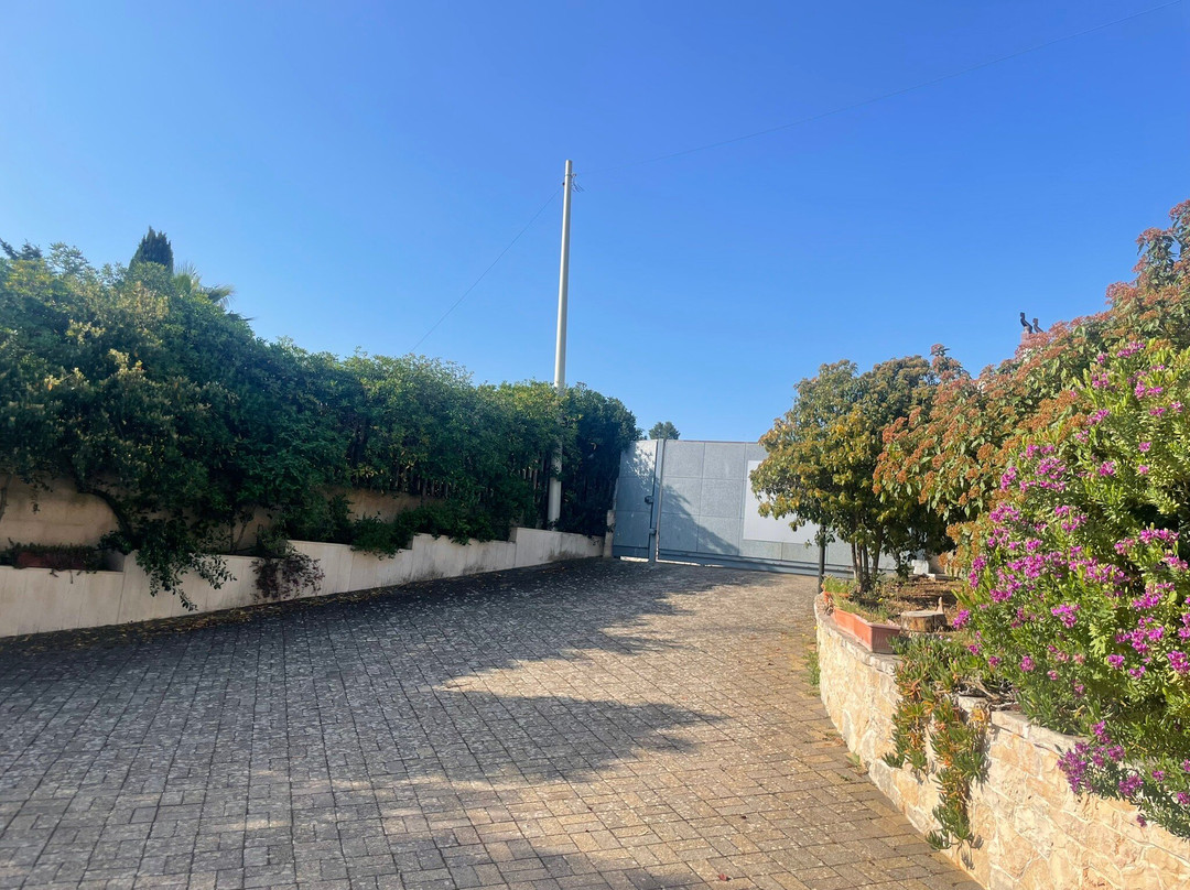 Casa Mastronardi