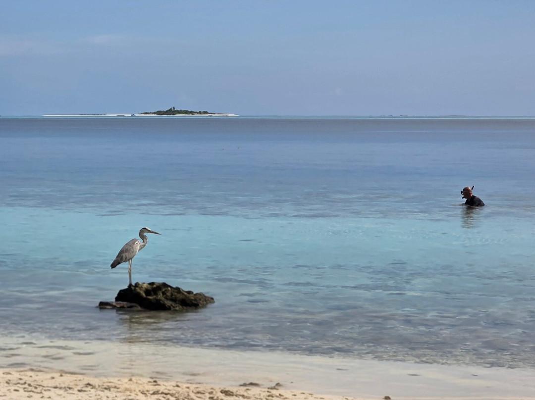 Local Travel Beach主图