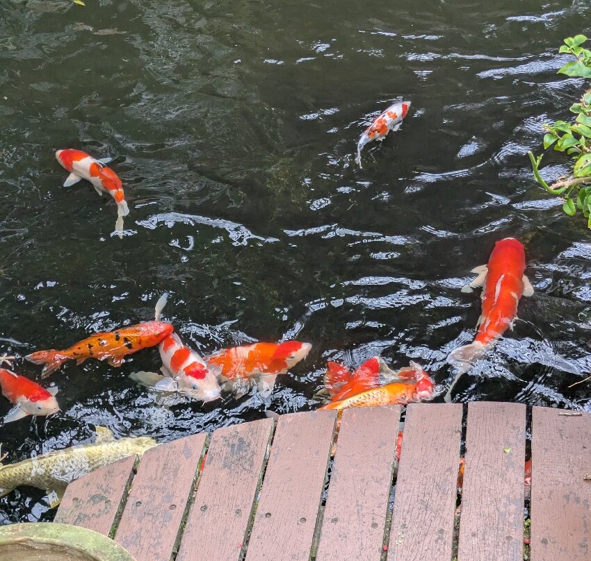 蟲鳴大地-巴巷海滩必去景点