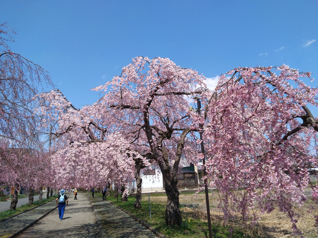 Nitchusen Memorial Bike and Pedestrian Path-喜多方市必去景点