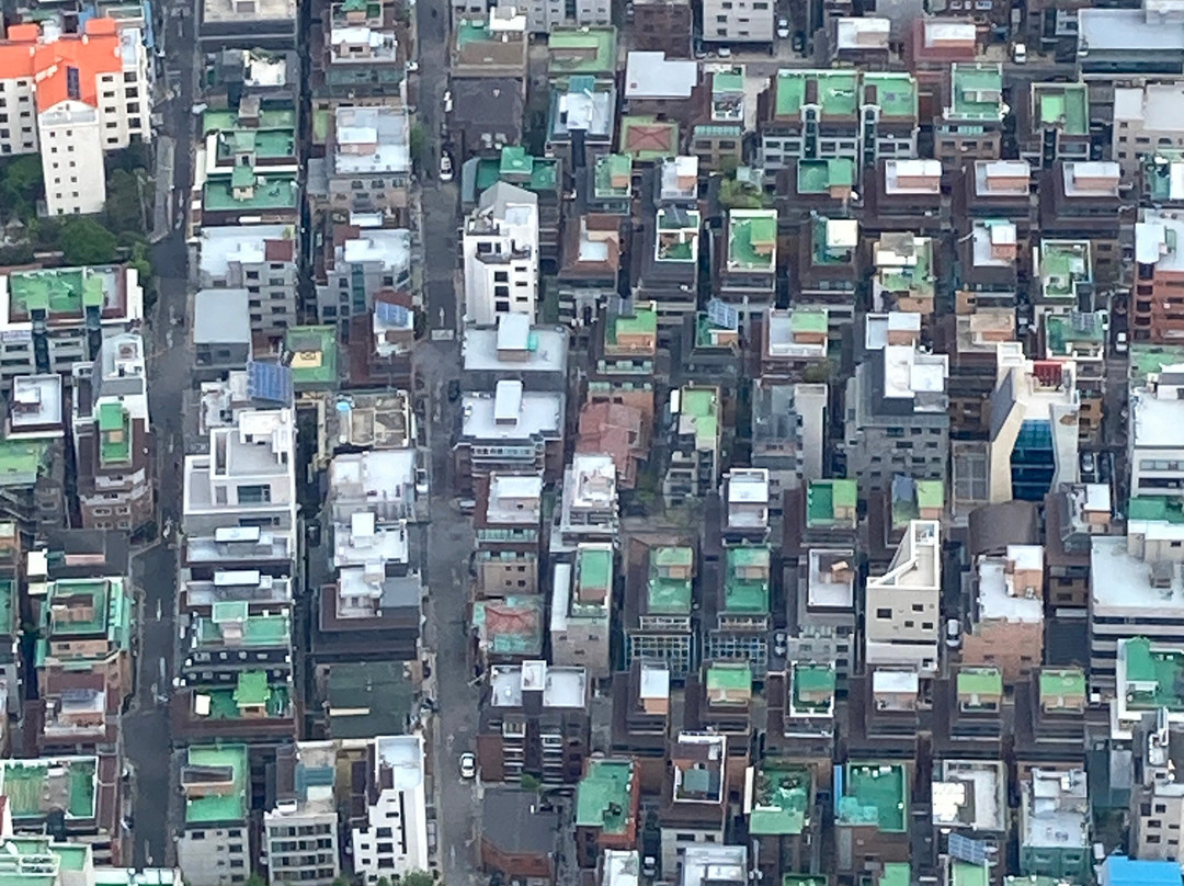 Lotte World Tower & Mall景点图片