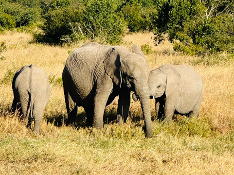 Classic Geo Adventures-内罗毕必去景点