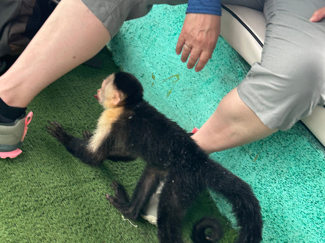 Monkey Island景点图片