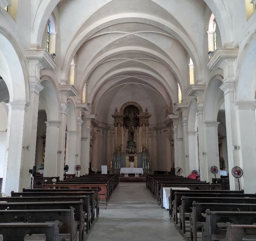 Catedral de la Purísima Concepción-西恩富戈斯必去景点