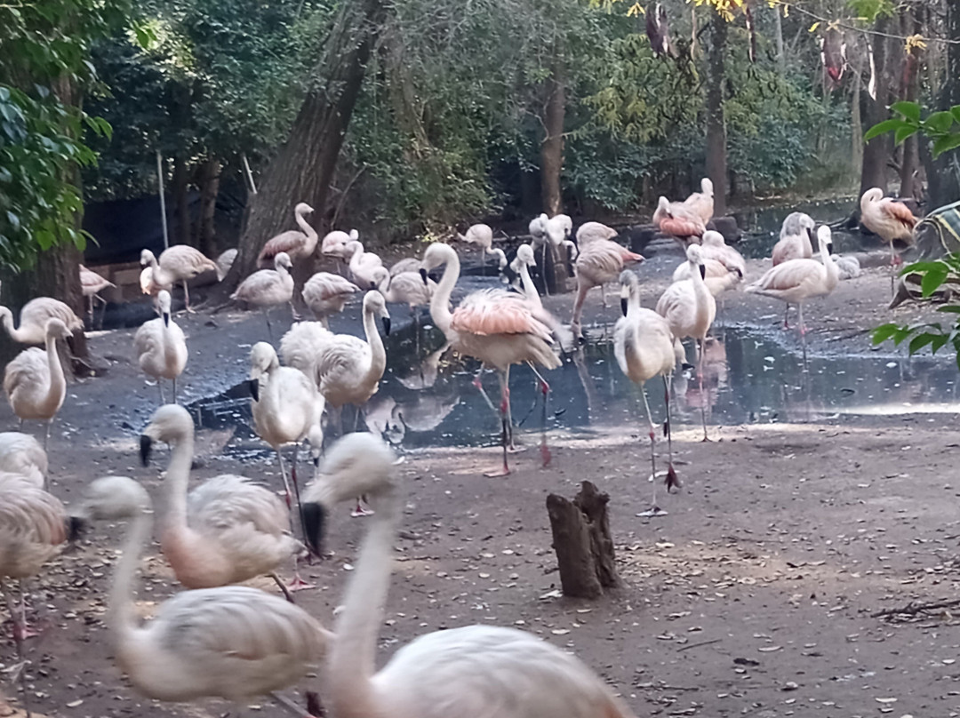 Eco de América-América必去景点