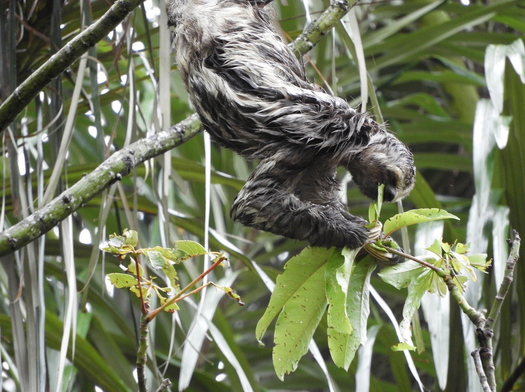 Santarém Viagens e Turismo-Santarem必去景点