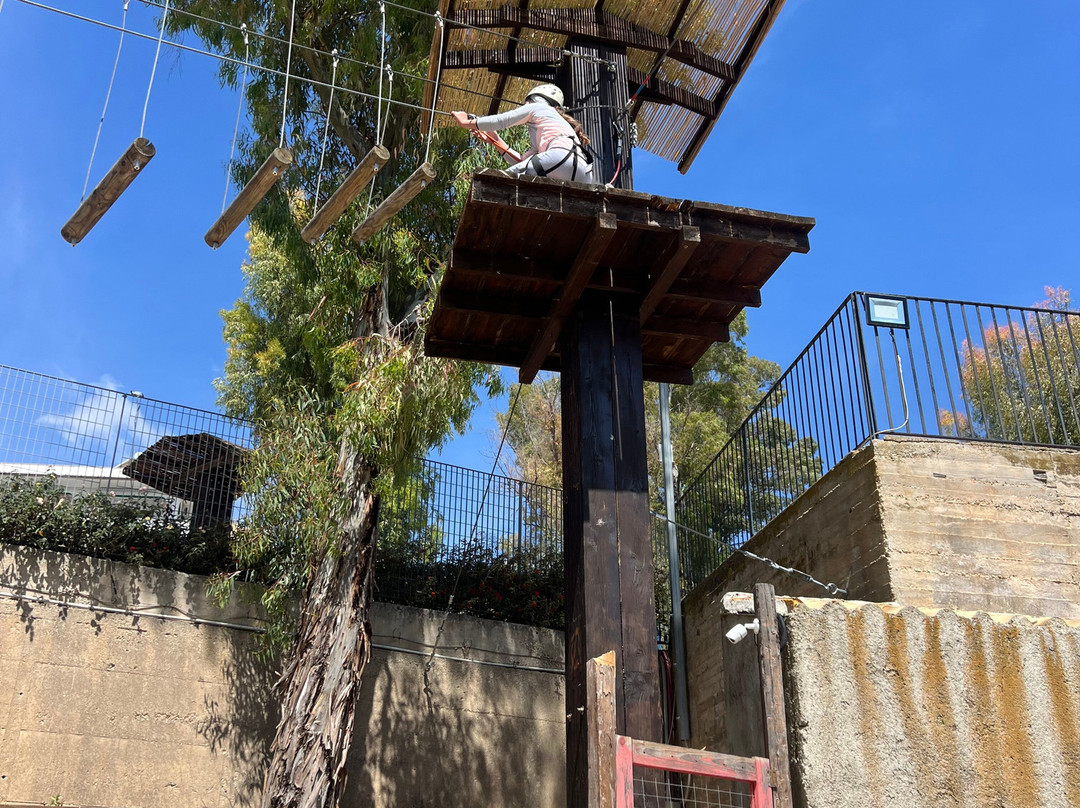 Parco Avventura Il Boschetto景点图片
