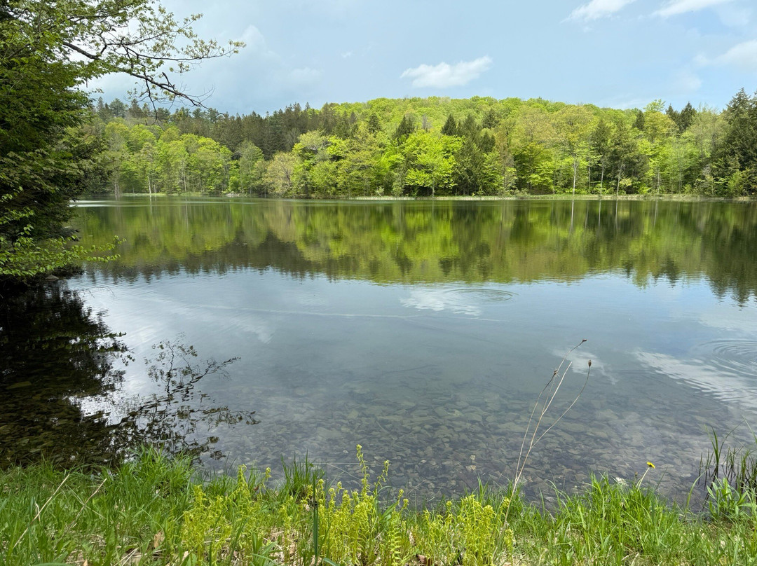 Mount Tom-伍德斯托克必去景点
