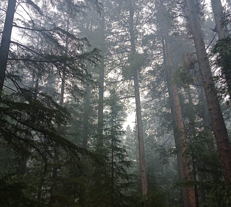 Latitude Resort主图