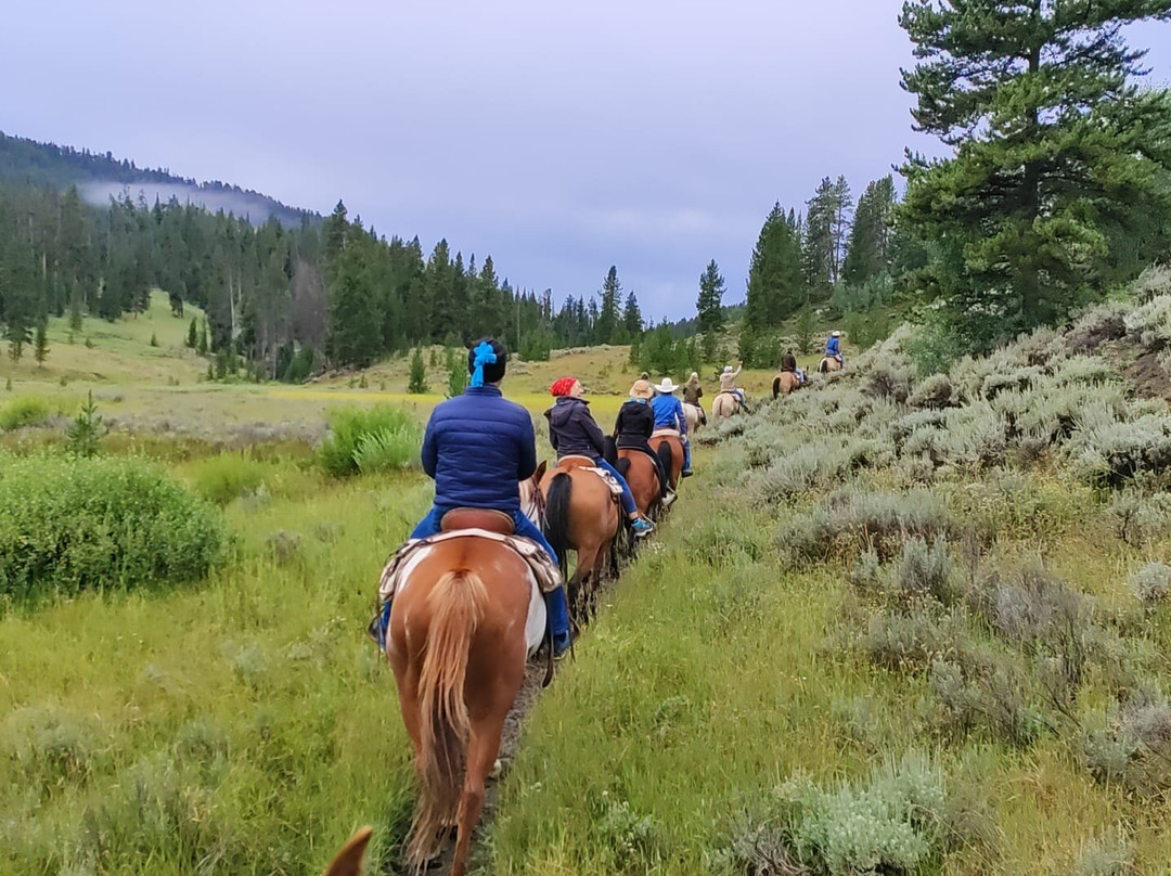 Back Country Adventures-西黄石镇必去景点