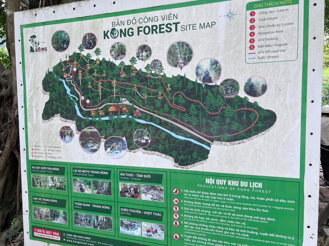 Kong Forest-Suoi Cat必去景点