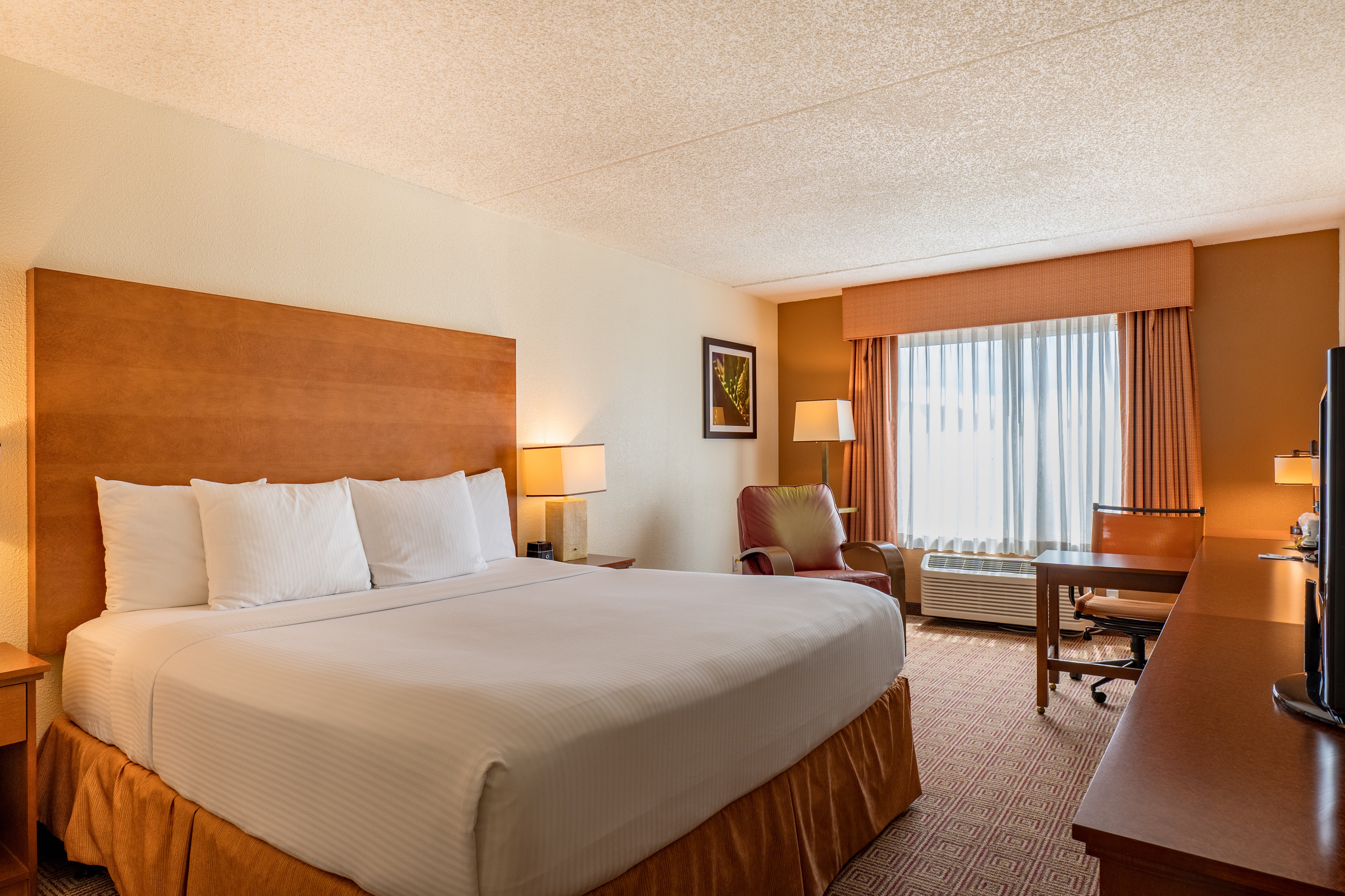 La Quinta Inn & Suites by Wyndham Danbury-客卧