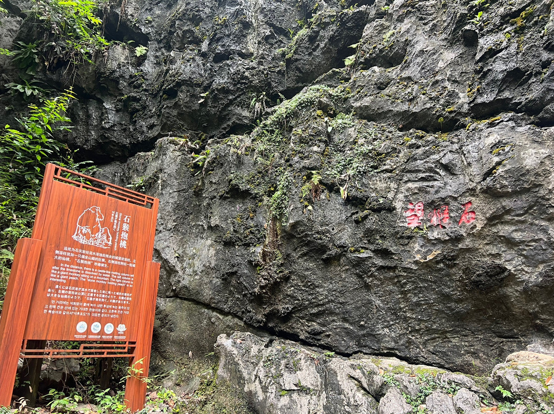 永安鳞隐石林-永安市必去景点