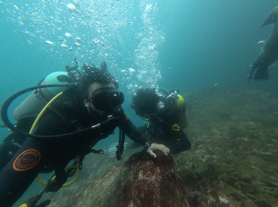 Academy Bay Diving-阿约拉港必去景点