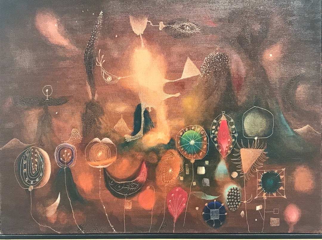 Museo De Arte Contemporáneo Helga De Alvear景点图片